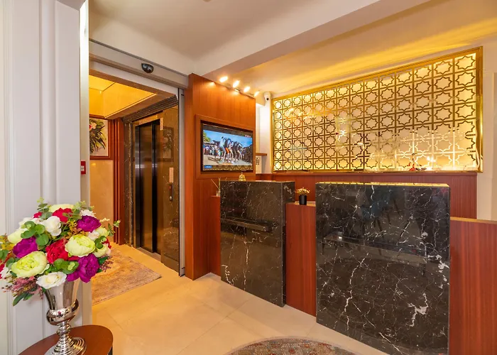 فندق Blue Gilroy اسطنبول